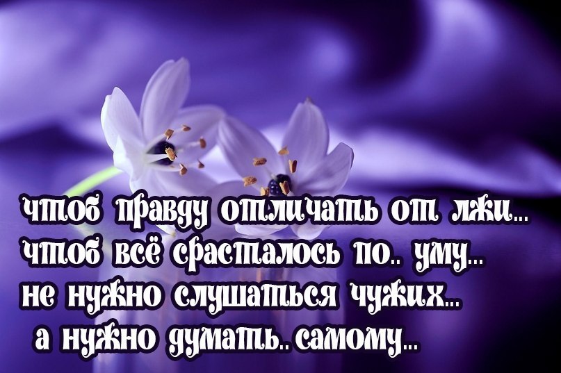 )  - 12  2017  14:44