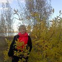 ���� �������, ������ �������� - ��������� 8 ������� 2017 � ������ ���� ����������