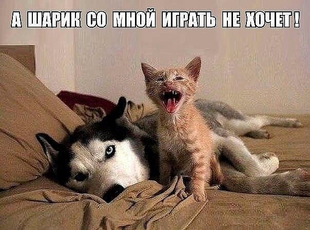     ,     , ,    : - ... - 4