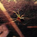 ���� ������, ����������, 56 ��� - ��������� 29 ������� 2017 � ������ ������ ��������