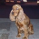 ���� Nik, ��������, 67 ��� - ��������� 27 ������� 2017