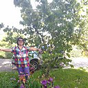 ���� �������, ������������ - ��������� 29 ��� 2017 � ������ ��������� �� �������