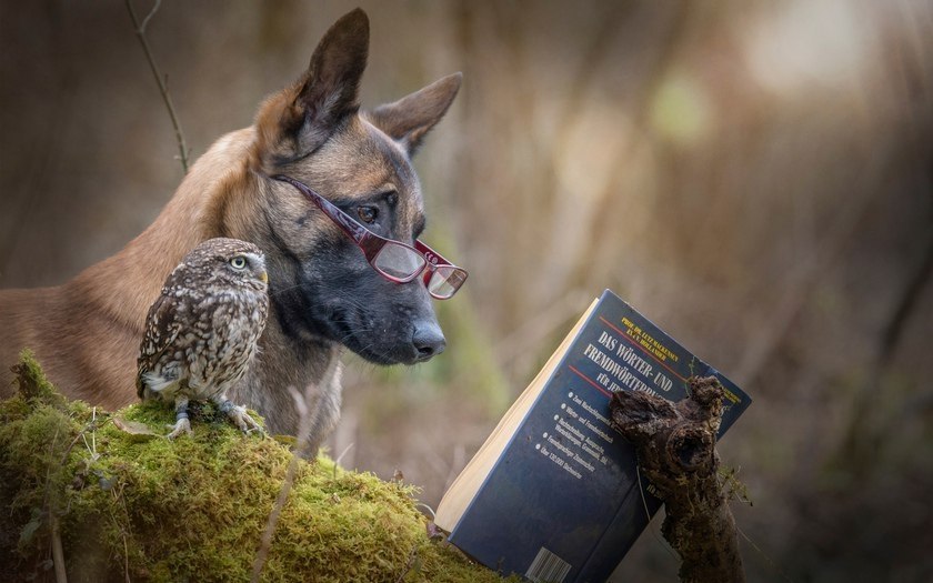 Мощные книги для саморазвития.Сохраните!1.