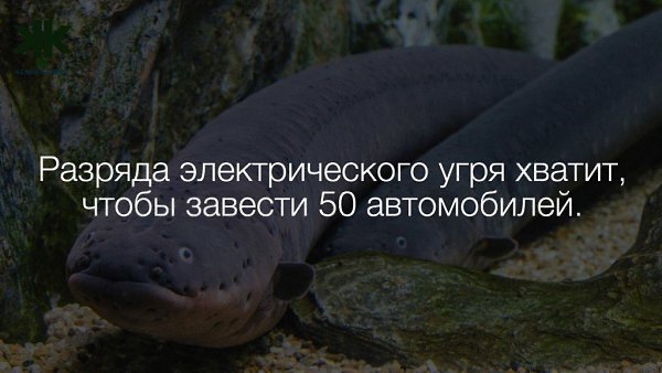   :    - 2  2017  20:41