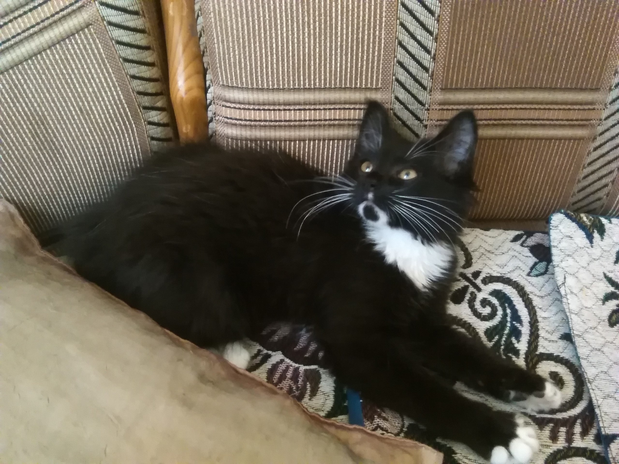 �� ���� ��� �� ������?! - �� ���� ��� �������!.. )))