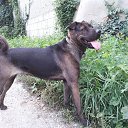 ���� Dido, ����, 45 ��� - ��������� 13 ������� 2017 � ������ �:)�