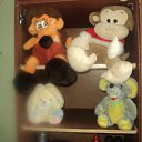 ���� �������, ��������, 68 ��� - ��������� 7 ������� 2017 � ������ ���� ����������