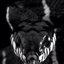 ���� ������, �����, 48 ��� - ��������� 19 ������� 2017