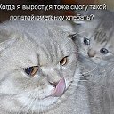 ���� Liliya, �������� - ��������� 9 ������� 2017 � ������ ������������ ����� ������
