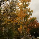  , - -  14  2017      .