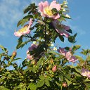 ���� �������, ������ - ��������� 28 ���� 2017 � ������ ���� ����������