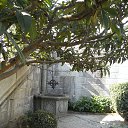  , , 60  -  6  2017   , , ,06.08.17.