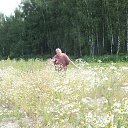  ., , 54  -  30  2017    