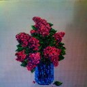 ���� �------, �����-������� - ��������� 11 ���� 2017