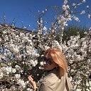 ���� ������� �., ������ - ��������� 6 ������� 2017 � ������ ���� ����������