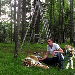 ���� ����������, ����������, 44 ���� - ��������� 15 ��� 2017