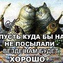 ���� �����, ������ - ��������� 18 ������ 2017 � ������ ������ ��������