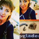 ���� �����, ������, 37 ��� - ��������� 27 ���� 2017 � ������ ���� ����������