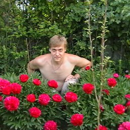 ��������, ������������, 28 ���