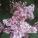 ���� ������, �����, 58 ��� - ��������� 10 ���� 2017 � ������ ������ ��������