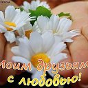 ���� �������, ����� - ��������� 10 �������� 2017 � ������ ������ ��������