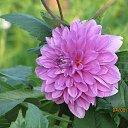 ����� ������ �� ���� �� ������� ���� ����������