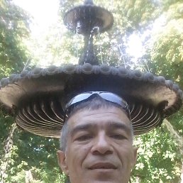 �����, �����, 53 ����