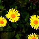 ���� ������, ������, 49 ��� - ��������� 3 ��� 2017 � ������ ������� Nikon�