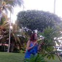 ���� �����, �����-��������� - ��������� 29 ���� 2017 � ������ ���� ����������