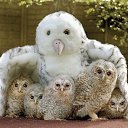 ���� ������, ������ - ��������� 31 ������� 2017 � ������ �������