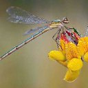 ���� ����� �, ������� - ��������� 14 ������� 2017 � ������ ���� ����������