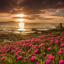 ���� ���������, ������ - ��������� 31 ������� 2017 � ������ ���� ����������