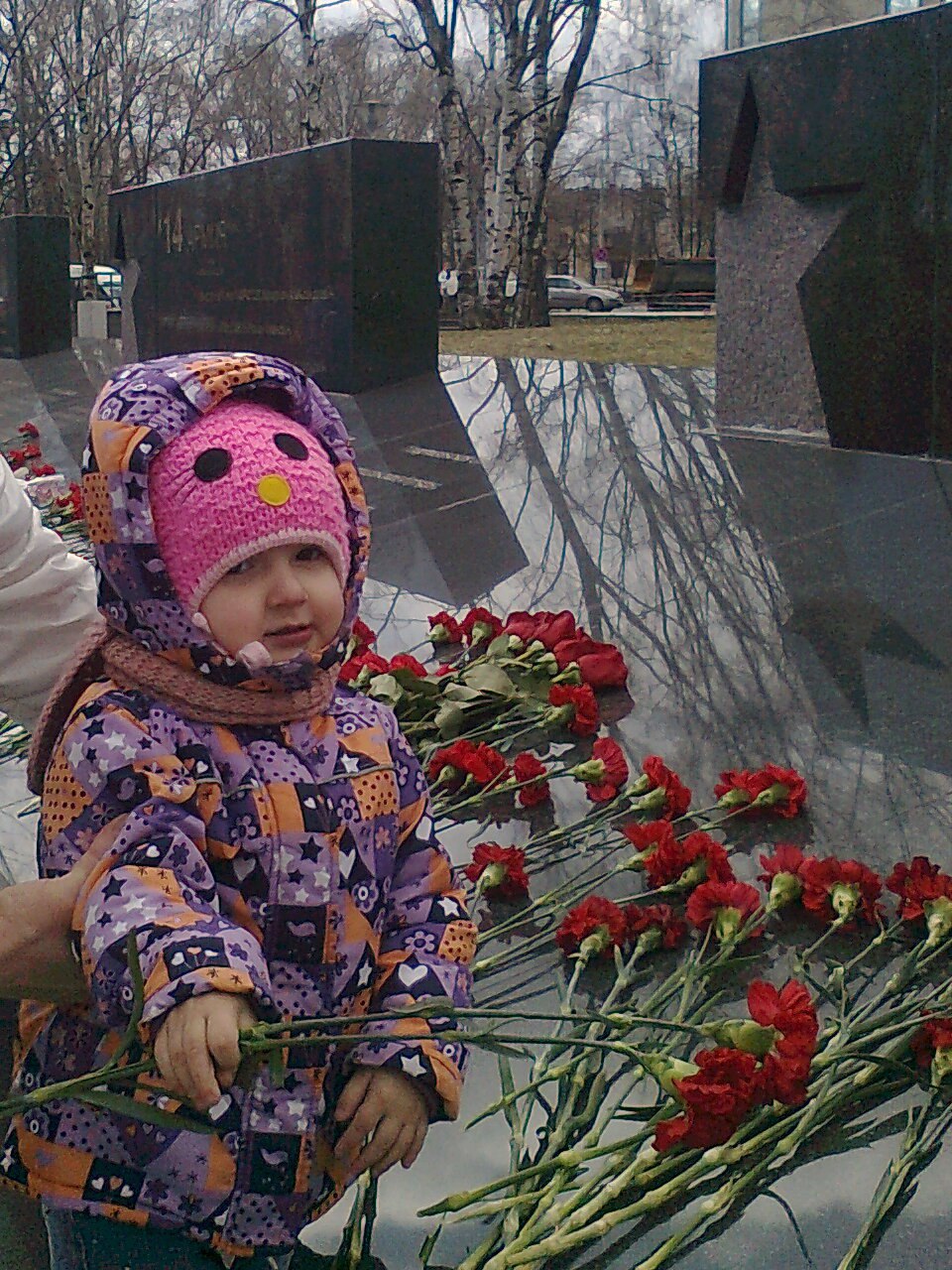 Елена Тарасова - 9 мая 2017 в 18:03