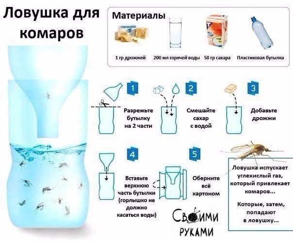 Как убрать комаров из комнаты в домашних условиях