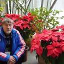 ���� ������, ������ - ��������� 4 ������� 2017 � ������ ���� ����������