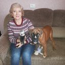 ���� �����, �����������, 66 ��� - ��������� 16 ������ 2017 � ������ ���� ����������