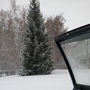 ���� �������, ����, 41 ��� - ��������� 25 ������� 2017 � ������ �������