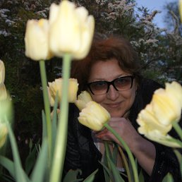 ���� �����, ������, 61 ��� - ��������� 5 �������� 2017