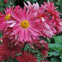  , , 60  -  24  2017   ,&quot;   ..&quot; ,22.10.17