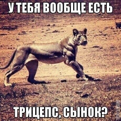 SportFeed - 31  2017  03:48