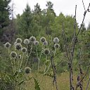 ���� ���������, ������ - ��������� 31 ������� 2017 � ������ ��������� � ������������ ��� 20 ������� 2017 ����