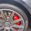 ���� ������, �������, 47 ��� - ��������� 16 ������� 2017 � ������ �������