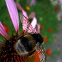 ���� Oksana, ����� - ��������� 17 ������� 2017 � ������ ���� ����������