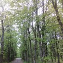 ���� �����, �����-���������, 54 ���� - ��������� 12 ���� 2017 � ������ ���� ����������