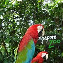 ���� ����, �����-��������� - ��������� 13 ���� 2017 � ������ ������ ��������