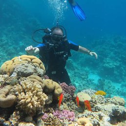 Yakob, �������, 48 ���