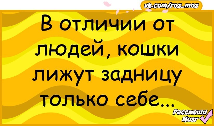 Ебется и лижет жопу мужчине