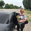 ���� �����, ������, 56 ��� - ��������� 8 ���� 2017 � ������ ���������� ������