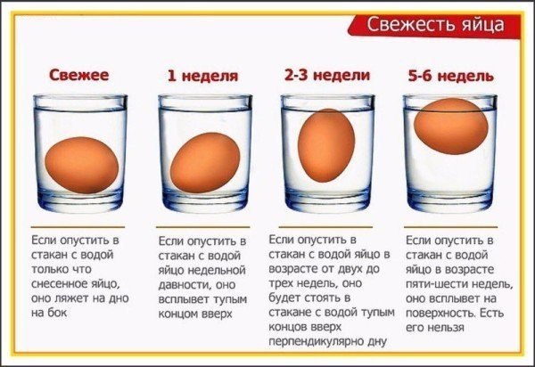   ? #@rules4life