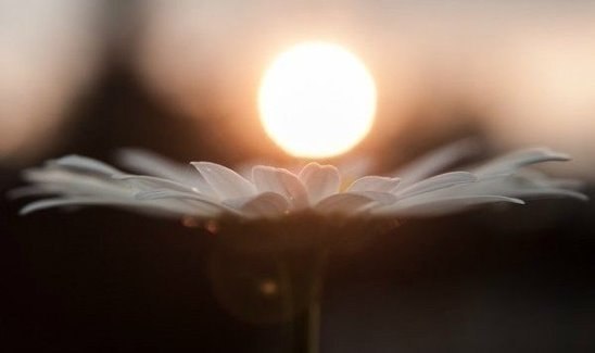 ЦЕЛЕБНОЕ СТИХОТВОРЕНИЕ. Это стихотворение внесет в Ваш мир успокоение, даст телу здоровье, Душе – ...